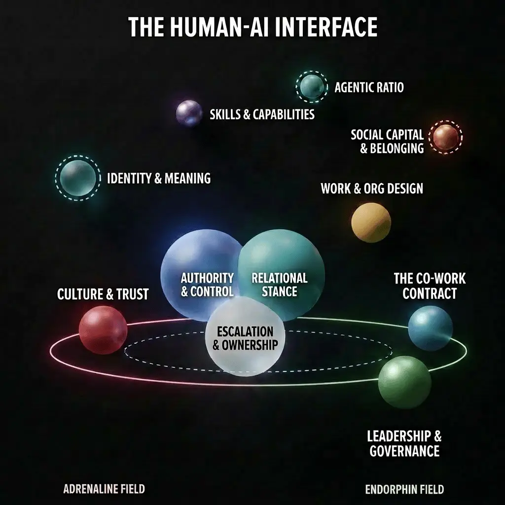 The Human-AI Interface orbital model: 3 decisions, 7 conditions, 1 energy state